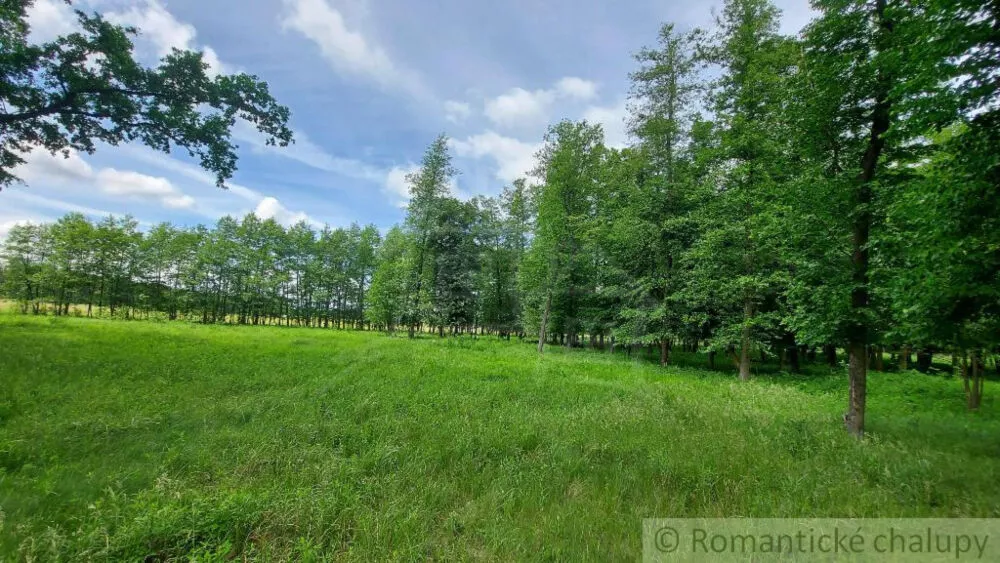 Lesy na predaj 37000m2, Borský Mikuláš, 139989_7