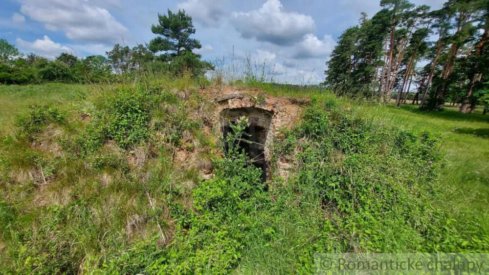 Lesy na predaj 37000m2, Borský Mikuláš, 139989_9