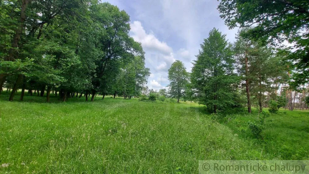 Lesy na predaj 37000m2, Borský Mikuláš, 139989_12