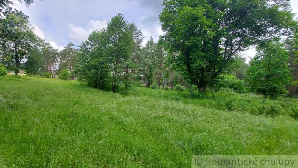 Lesy na predaj 37000m2, Borský Mikuláš, 139989_13
