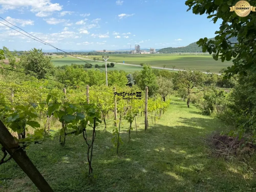Chata a chalupa na predaj 150m2, Dvorníky - Včeláre, 182160_1