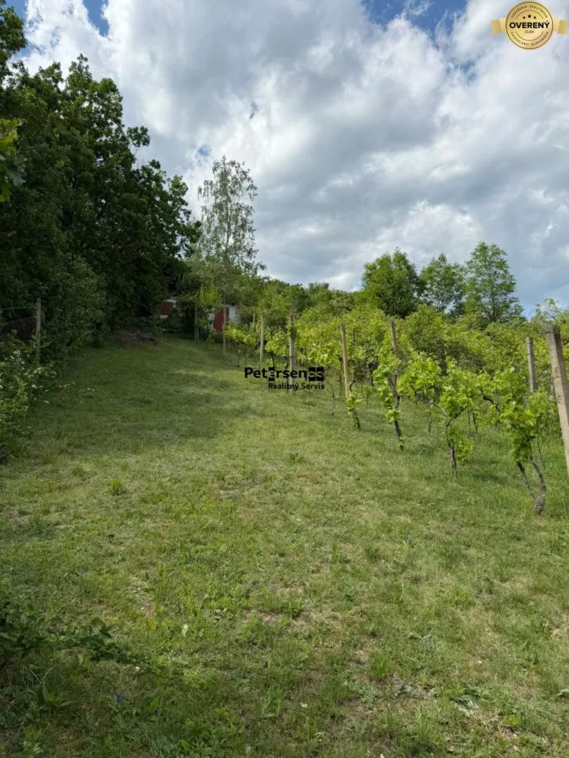Chata a chalupa na predaj 150m2, Dvorníky - Včeláre, 182160_5