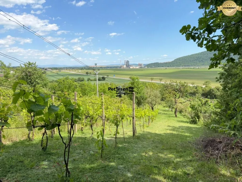 Chata a chalupa na predaj 150m2, Dvorníky - Včeláre, 182160_6