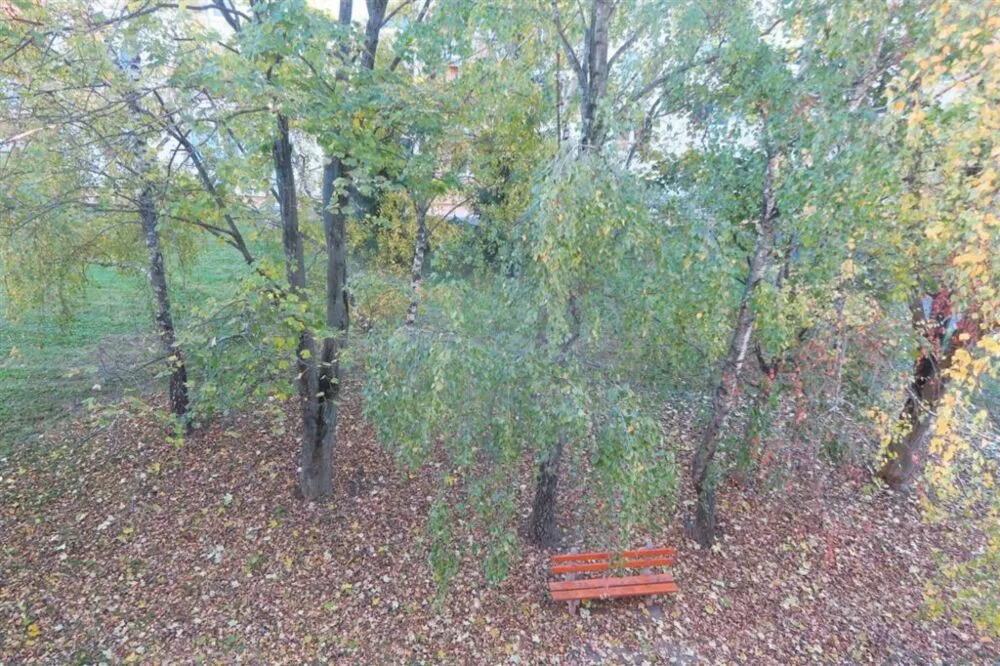 2 izbový byt na prenájom 58m2, Centrum Hviezdoslavova, Senica, 182473_14