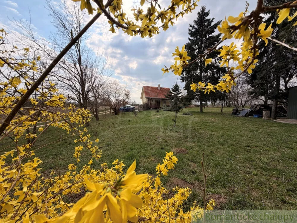 Chata a chalupa na predaj 40m2, Trávnica, 179250_19