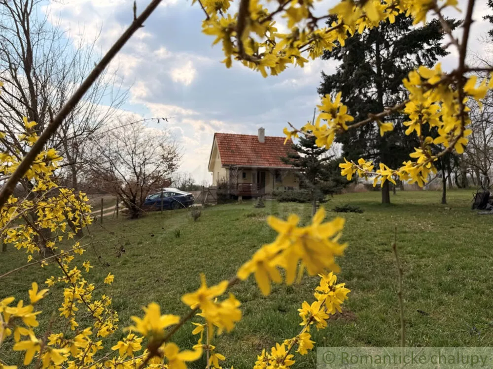 Chata a chalupa na predaj 40m2, Trávnica, 179250_20