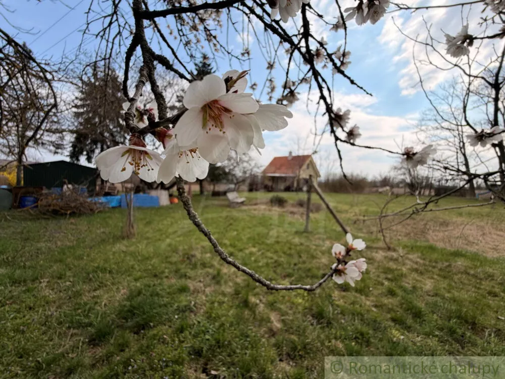 Chata a chalupa na predaj 40m2, Trávnica, 179250_24
