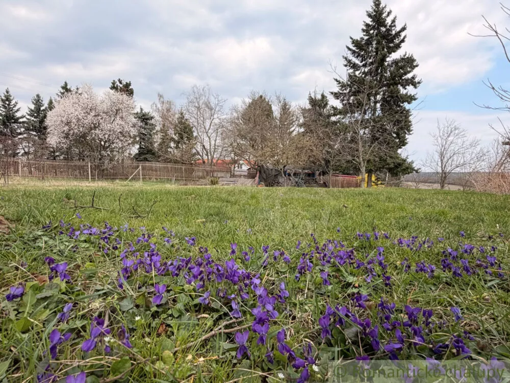 Chata a chalupa na predaj 40m2, Trávnica, 179250_30