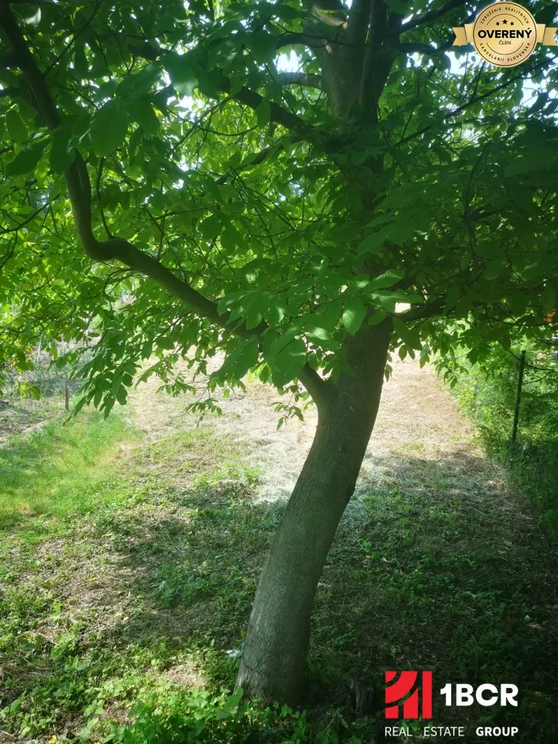 Záhrada na predaj 752m2, Suchá nad Parnou, 183768_6
