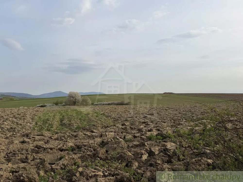 Orná pôda na predaj 18279m2, Čižatice, 180182_2