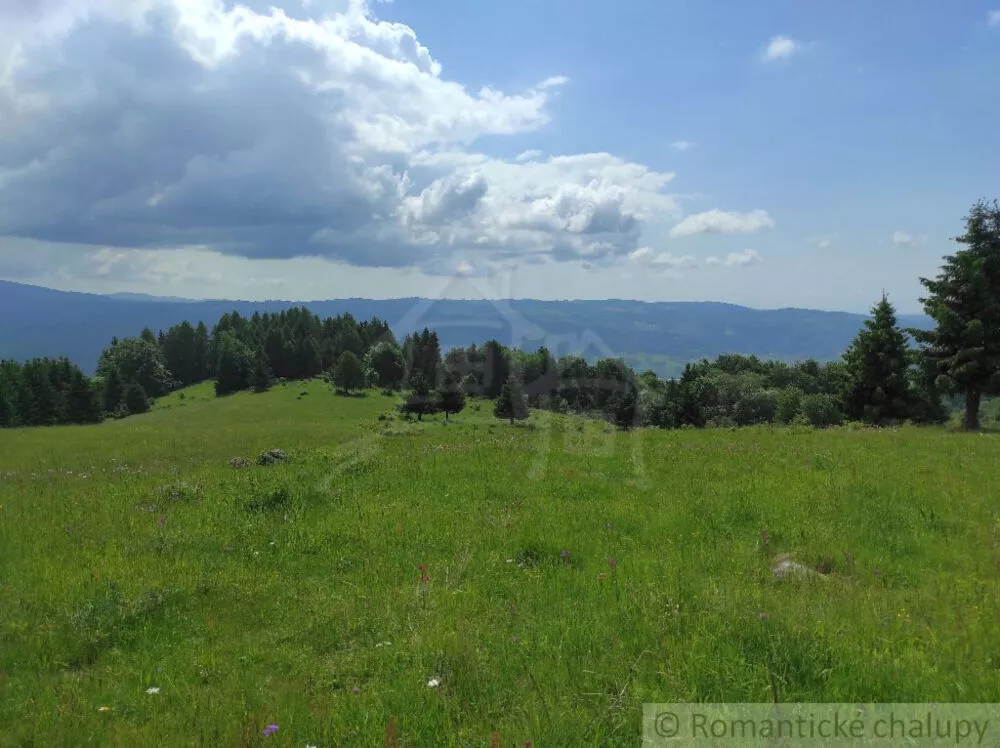 Lúka, pasienok na predaj 15465m2, Hriňová, 182225_1