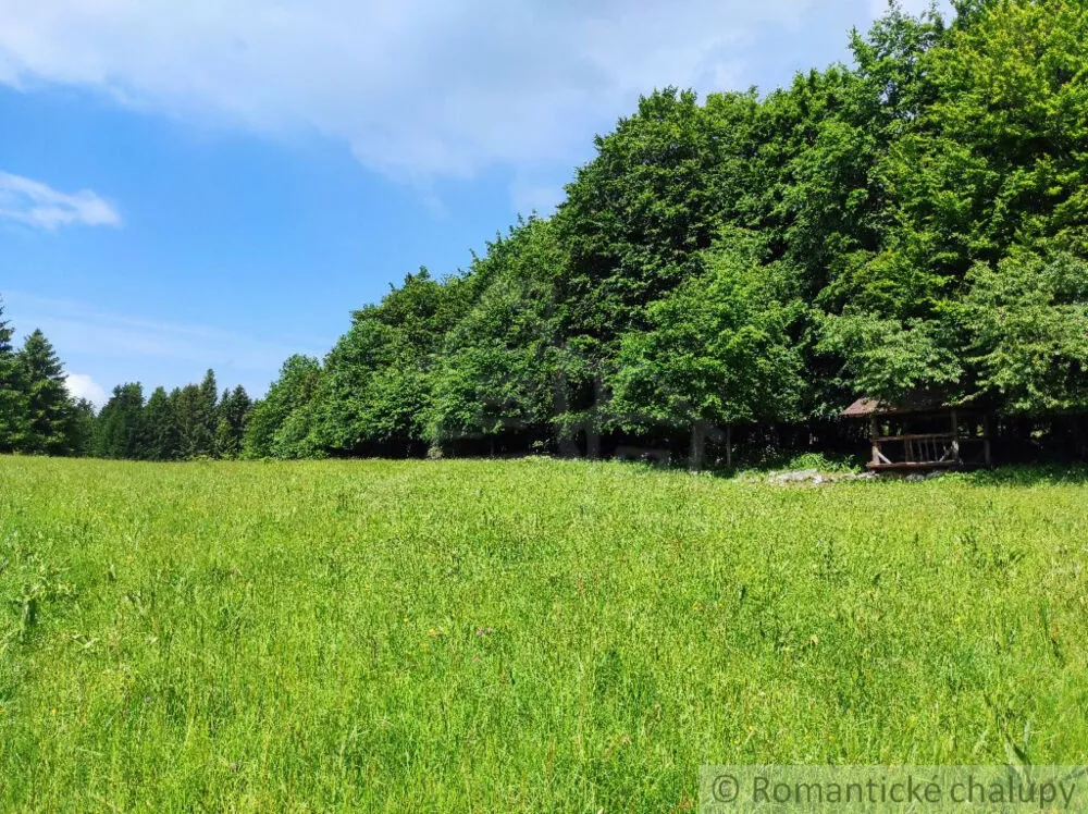 Lúka, pasienok na predaj 15465m2, Hriňová, 182225_3