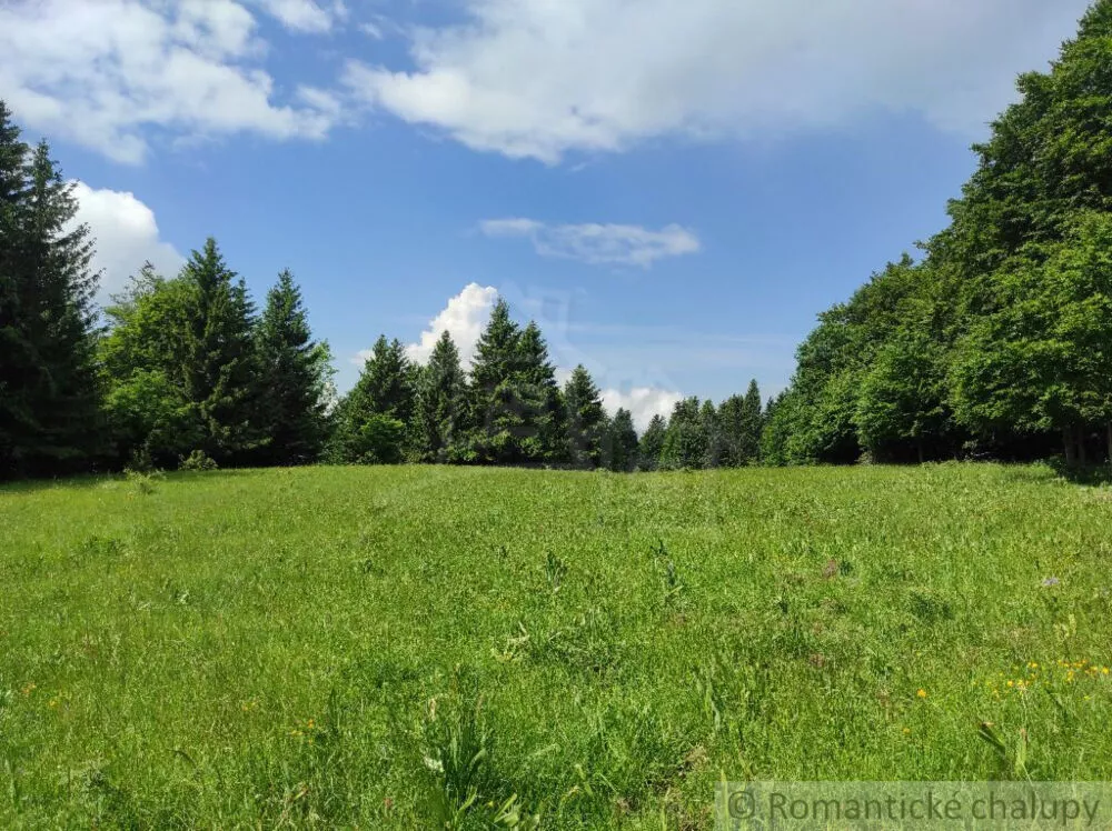 Lúka, pasienok na predaj 15465m2, Hriňová, 182225_4