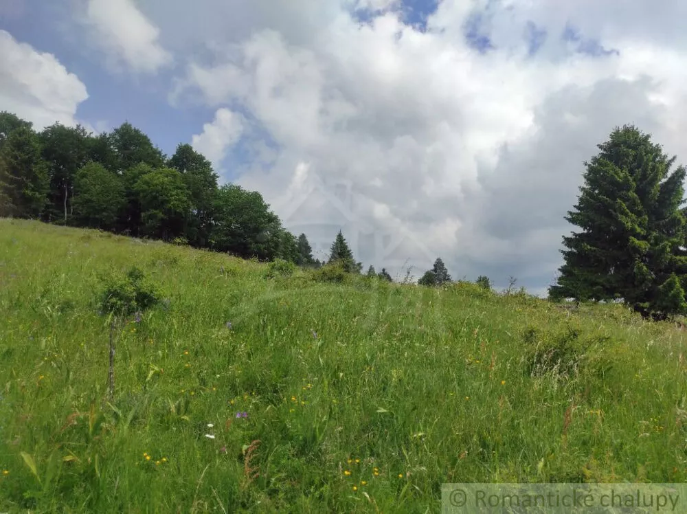 Lúka, pasienok na predaj 15465m2, Hriňová, 182225_10
