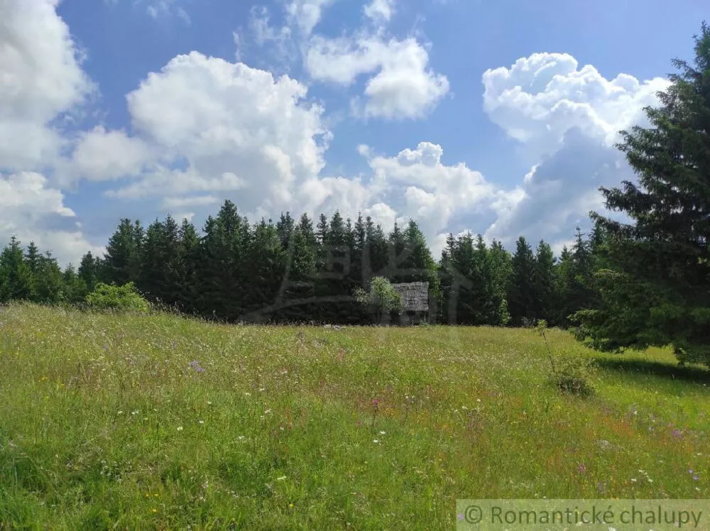 Lúka, pasienok na predaj 15465m2, Hriňová, 182225_19