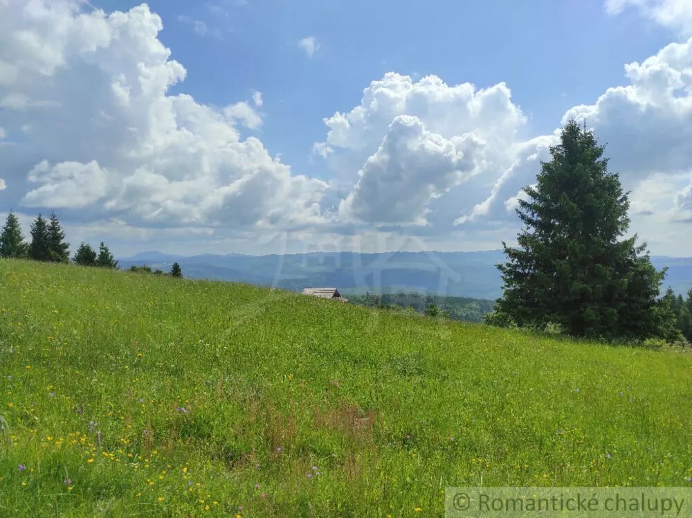 Lúka, pasienok na predaj 15465m2, Hriňová, 182225_20