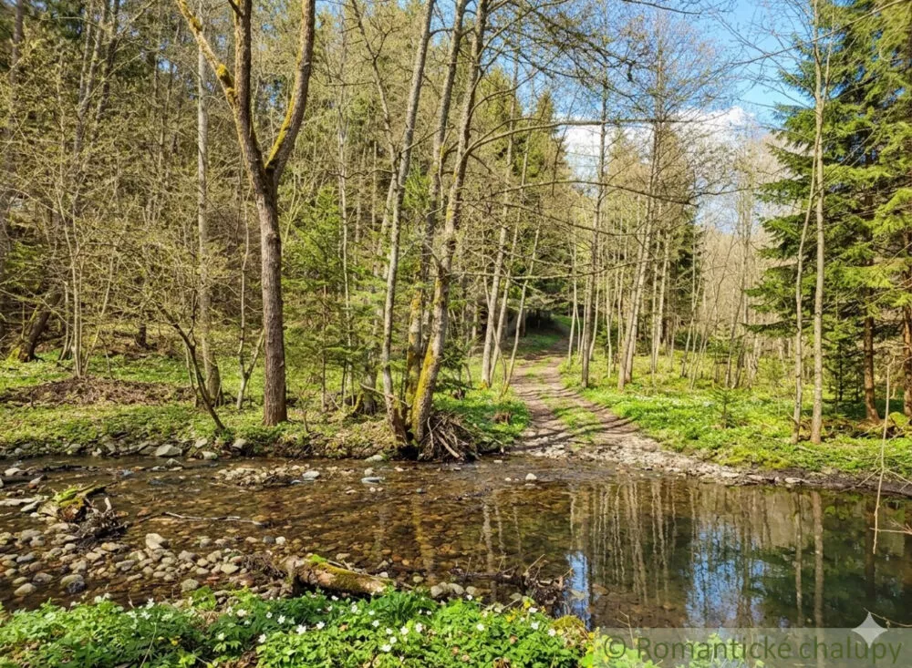 Lúka, pasienok na predaj 820m2, , 112785_0