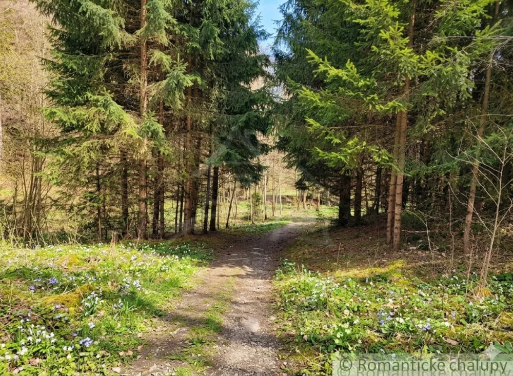 Lúka, pasienok na predaj 820m2, , 112785_1