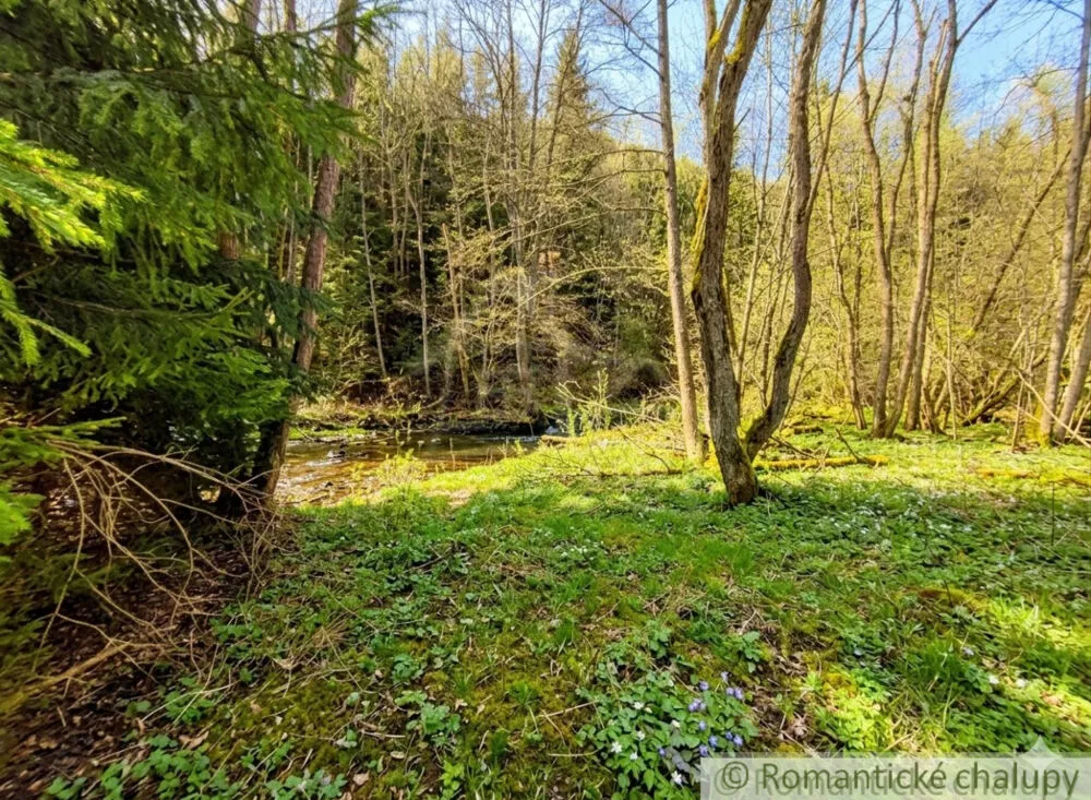 Lúka, pasienok na predaj 820m2, , 112785_3