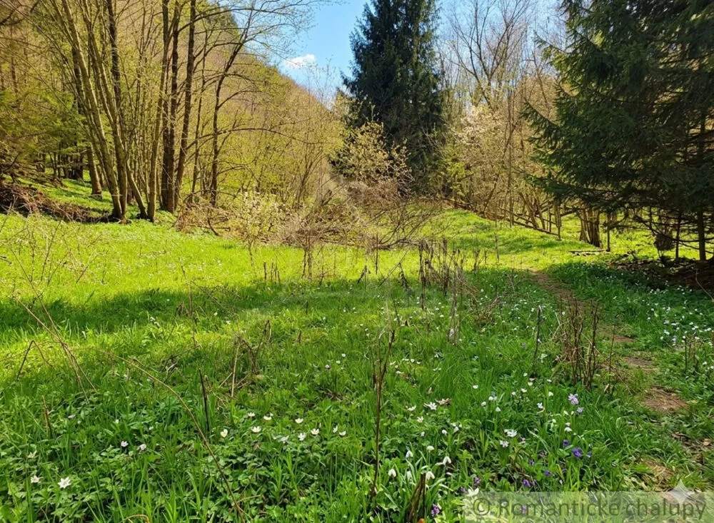 Lúka, pasienok na predaj 820m2, , 112785_4