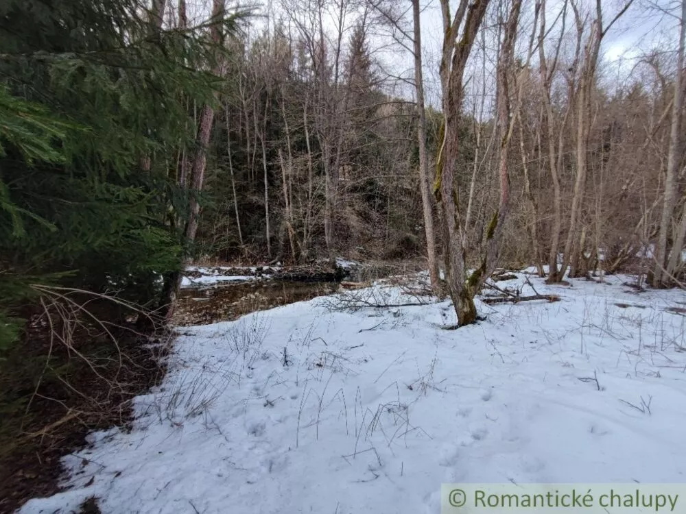 Lúka, pasienok na predaj 820m2, , 112785_8