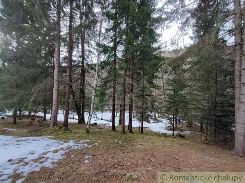 Lúka, pasienok na predaj 820m2, , 112785_9