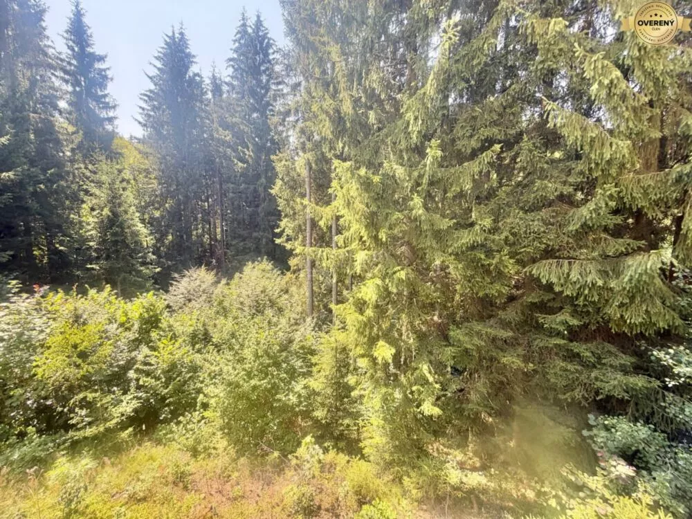 Chata a chalupa na predaj 90m2, Klokočov, Klokočov, 184794_2