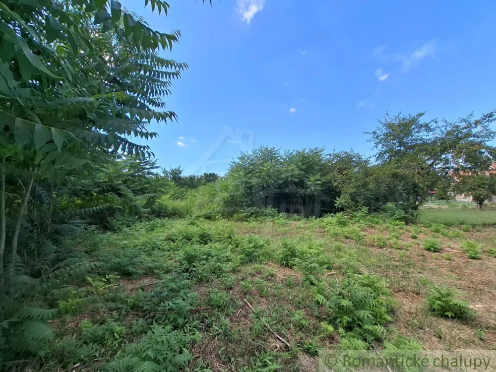 Záhrada na predaj 1125m2, Moča, 180047_8