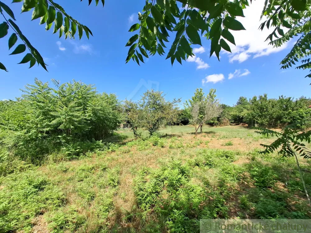 Záhrada na predaj 1125m2, Moča, 180047_15