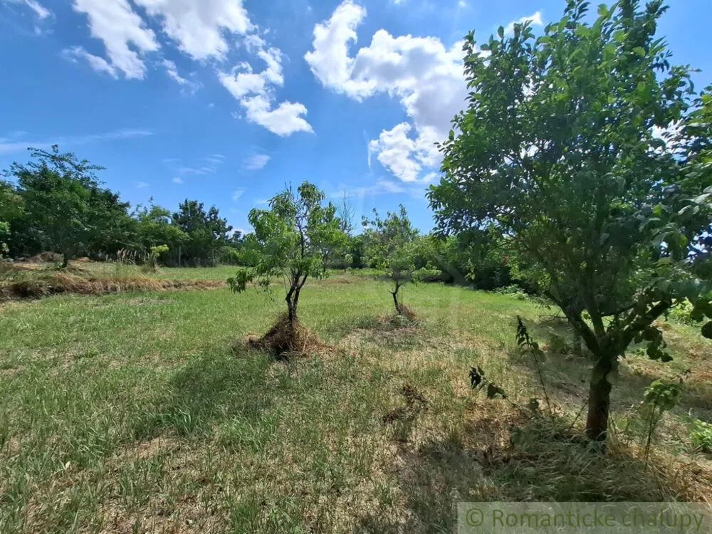Záhrada na predaj 1125m2, Moča, 180047_16