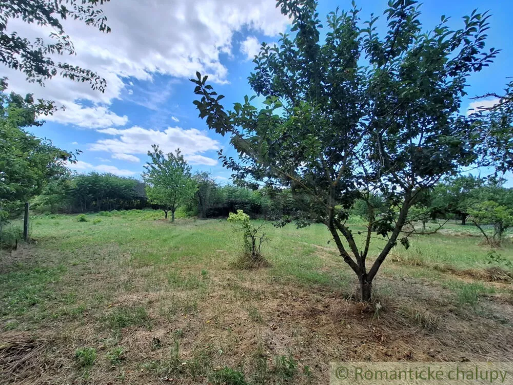 Záhrada na predaj 1125m2, Moča, 180047_22