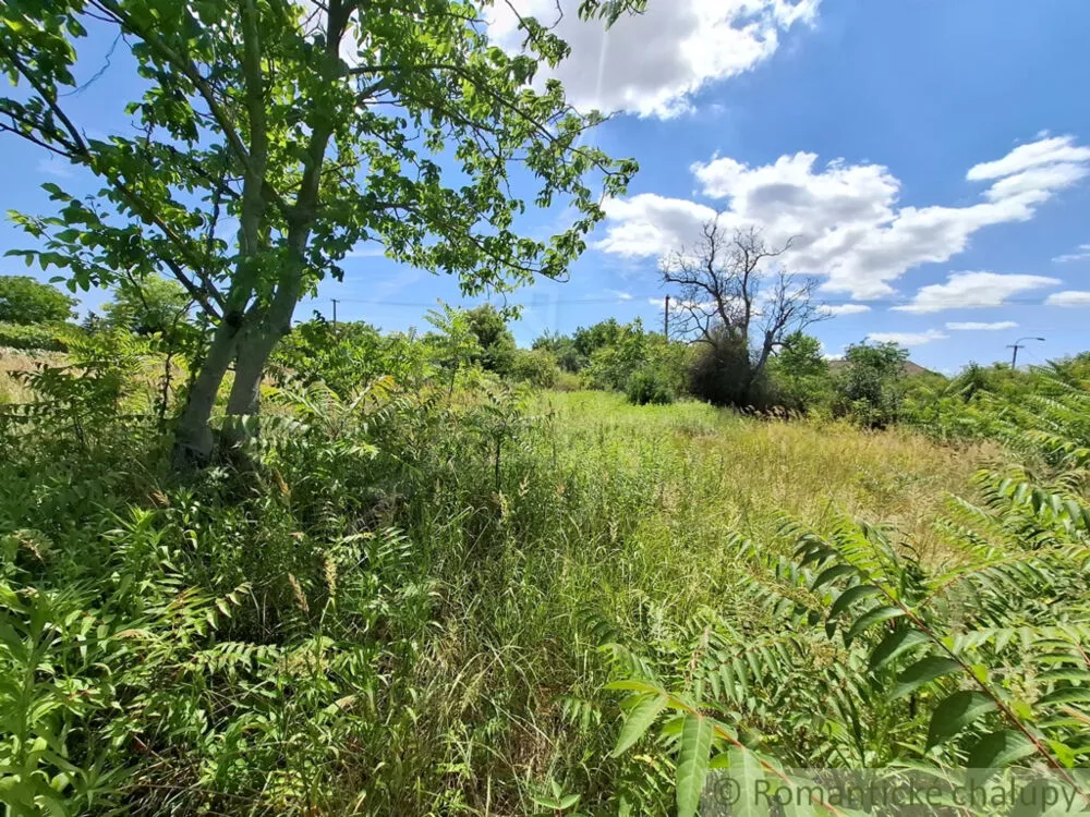 Záhrada na predaj 1125m2, Moča, 180047_25