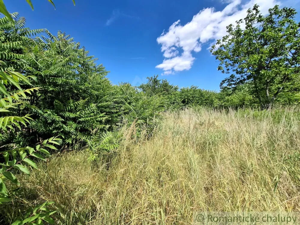Záhrada na predaj 1125m2, Moča, 180047_26