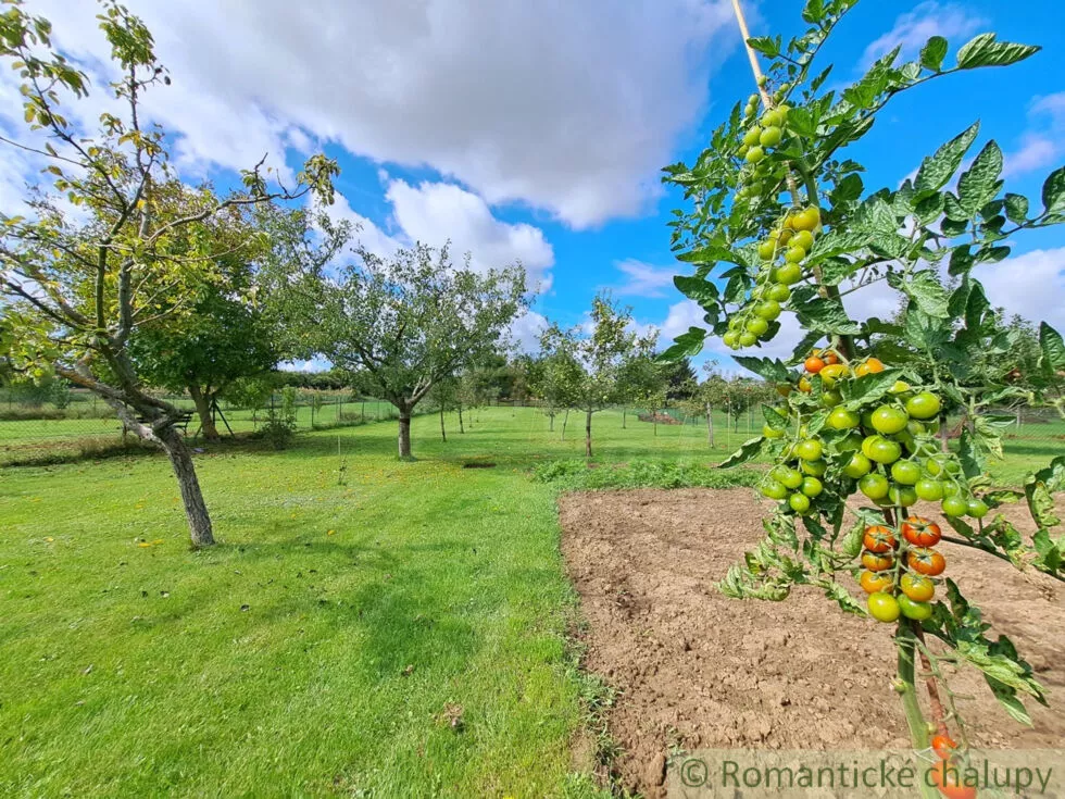 Rodinný dom na predaj 75m2, Hruboňovo, 160985_22
